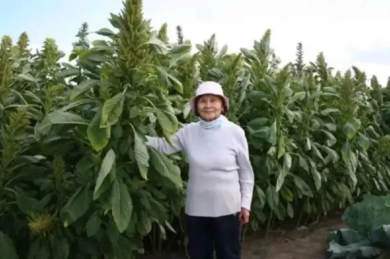 Забайкалка Цыпылма Жамбалова вошла в число лучших на международном фотоконкурсе