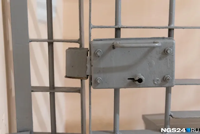 Студента в Борзе арестовали на пять суток за нацистские рисунки