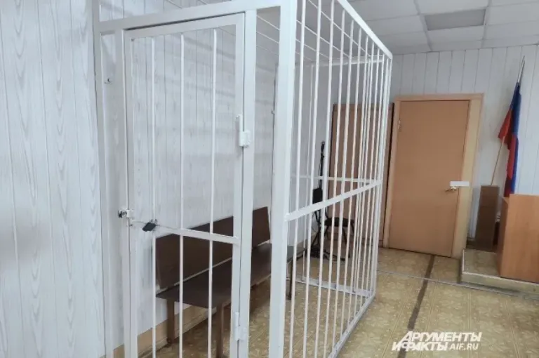 Читинцу увеличили срок до четырёх лет за перелом руки полицейской